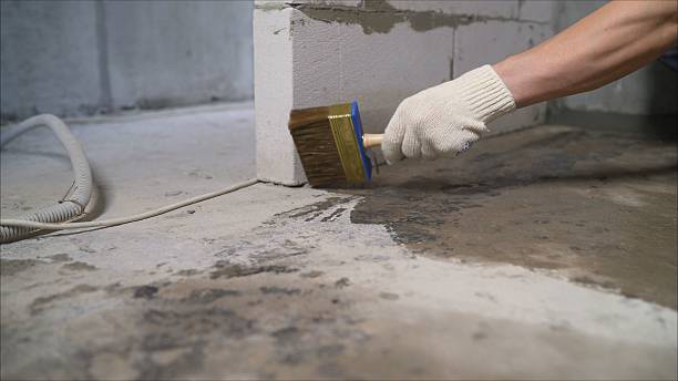 SJ Waterproofing Pros Exterior Waterproofing coverage map for White Bluff, TN and surrounding area